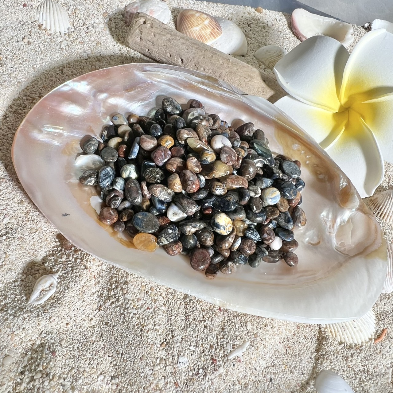 ピーターサイト